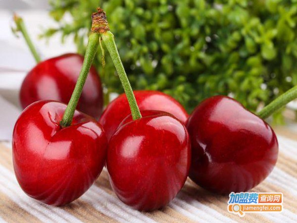 贵客隆水果加盟费