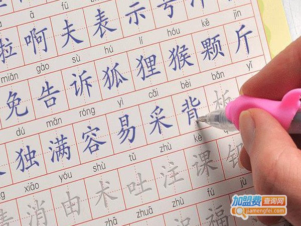 不拘一格练字加盟费