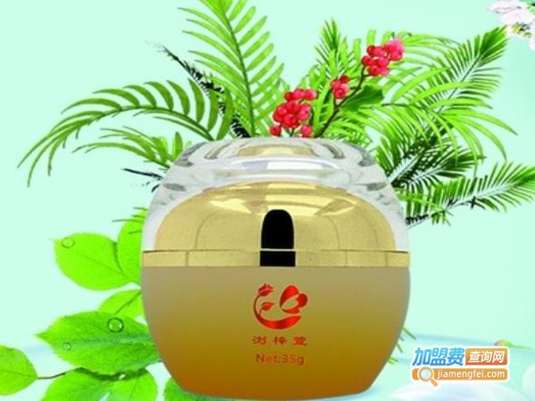 浏梓萱护肤品加盟费