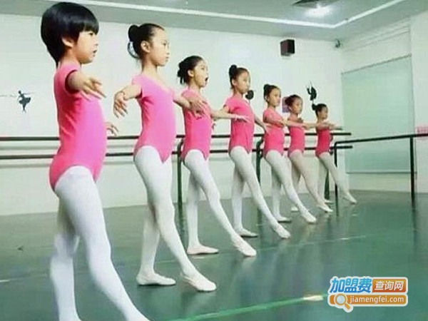 金芭蕾舞蹈培训加盟费