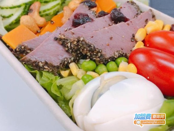 享瘦沙拉加盟费