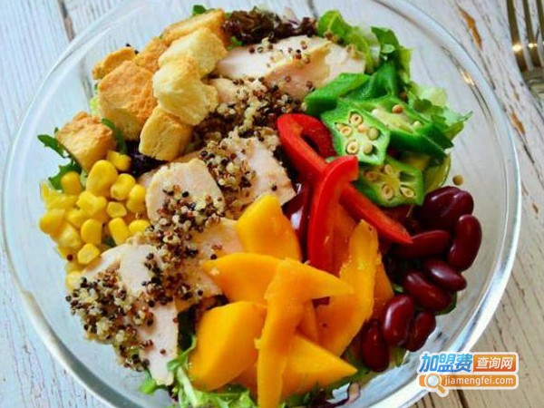 享瘦沙拉加盟费