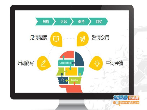 智牛英语加盟费