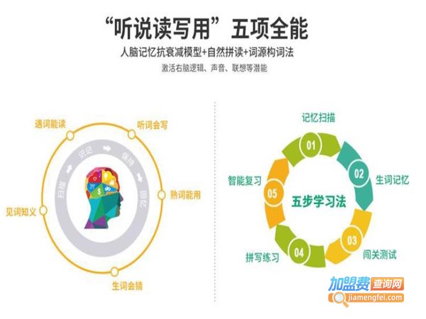 智牛英语加盟费