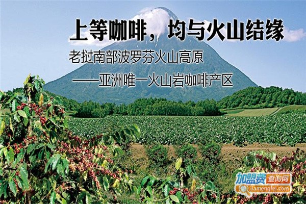 老挝咖啡