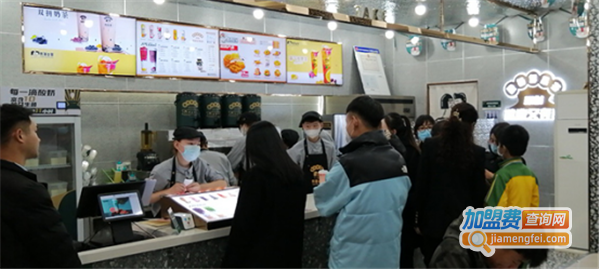 男茶女茶加盟费