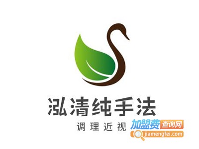 泓清纯手法调理近视加盟费
