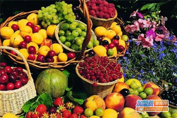 仓储式水果店加盟费