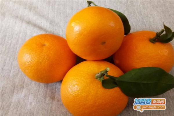 越享果园加盟费