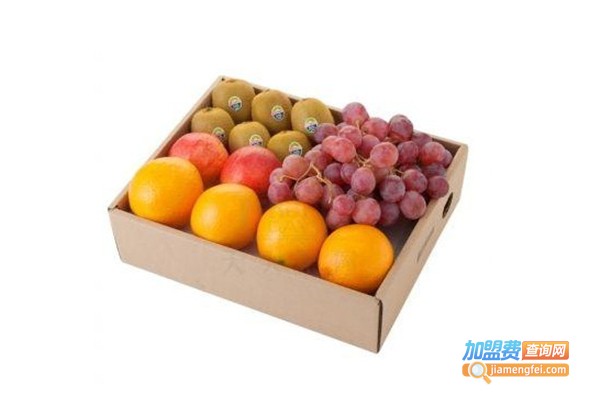 越享果园加盟费