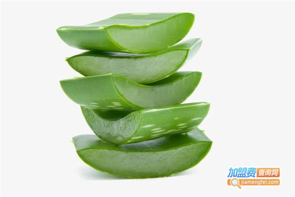 植物护肤加盟费