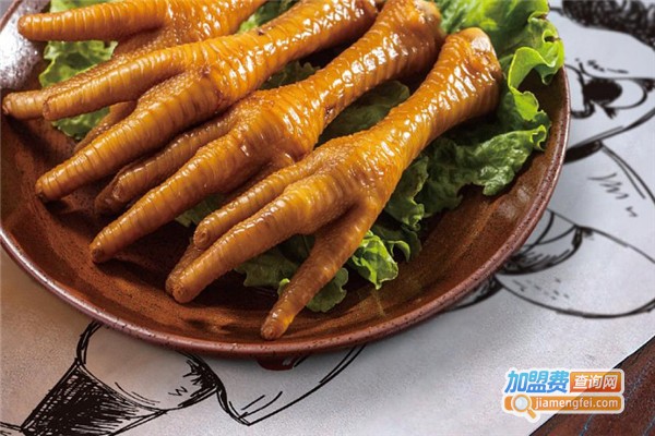 龙门飞爪加盟费