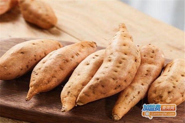 薯达意烤薯加盟费