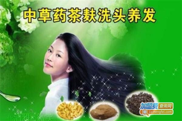 茶麸姜疗洗头加盟