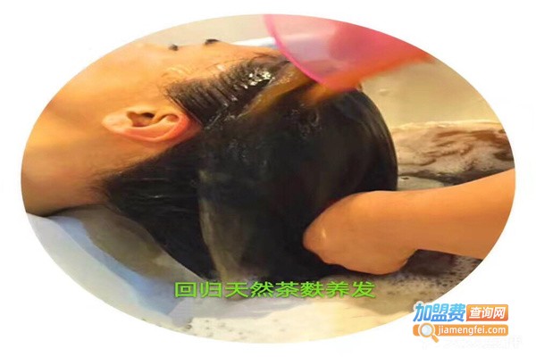 茶麸姜疗洗头加盟