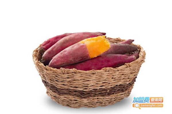 薯达意烤薯加盟费