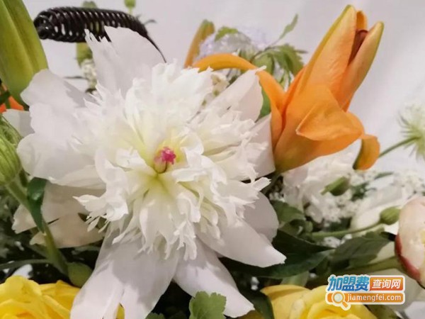 护花使者花店加盟费