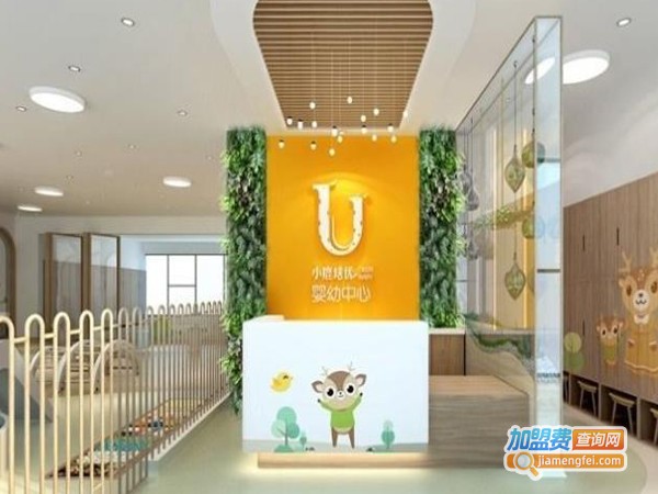 小鹿培优教育加盟费