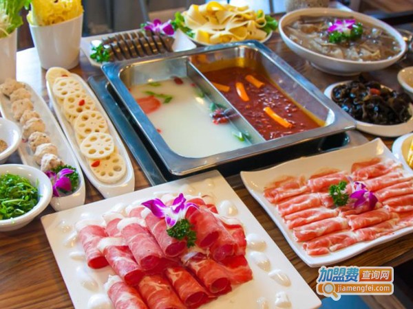 齐鸣diy火锅加盟费