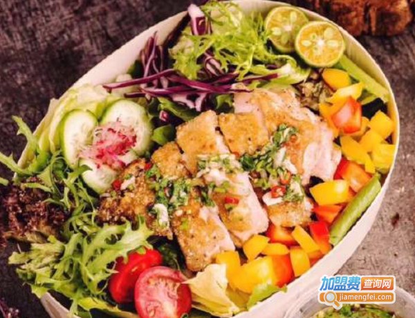 格丽诗沙拉健康餐加盟费