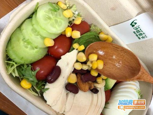 沙哇低卡轻食沙拉加盟