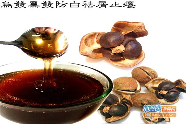 首乌坊养发加盟