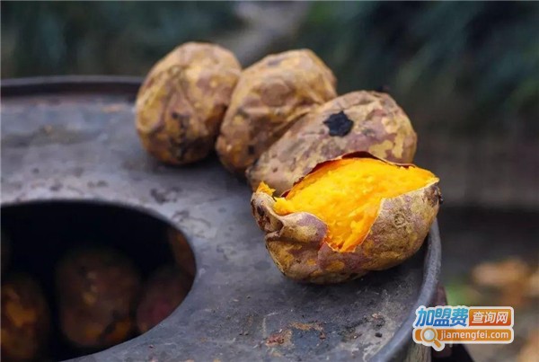 状元烤红薯加盟费