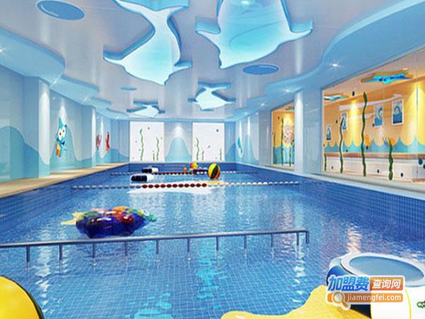 海豚宝宝游泳加盟费