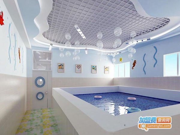 海豚宝宝游泳加盟费