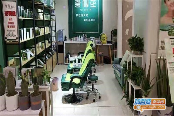 荟仙芝加盟费