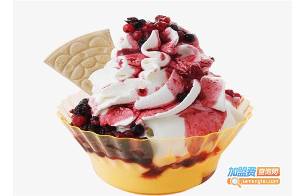 诗美克冰淇淋加盟费