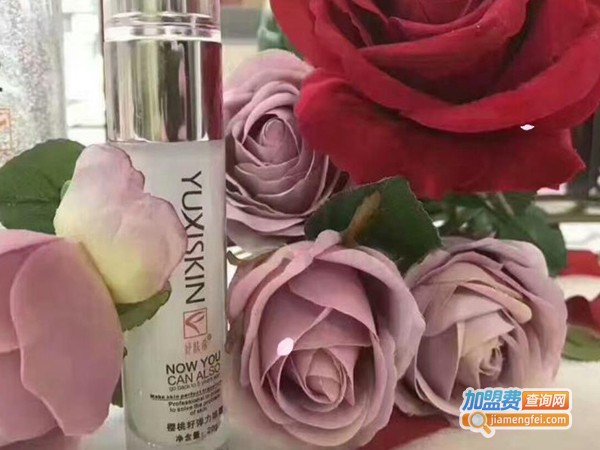 妤肤希化妆品加盟费