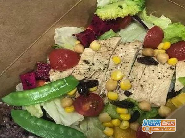 柚色轻食沙拉加盟