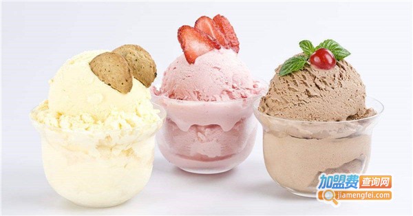 雪物语冰淇淋加盟费