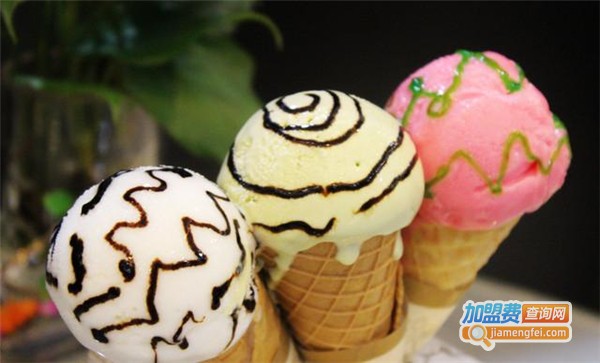 东南西北加盟费