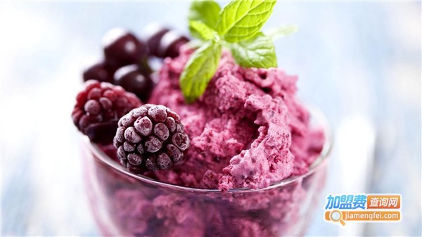 诱客冰淇淋加盟费