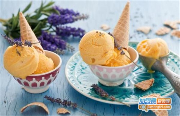 铭莱冰淇淋加盟费