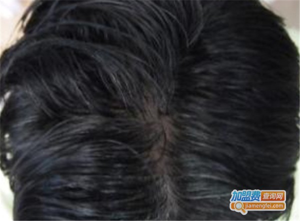 发秀优植物染发加盟费