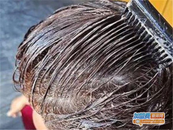 发秀优植物染发加盟费