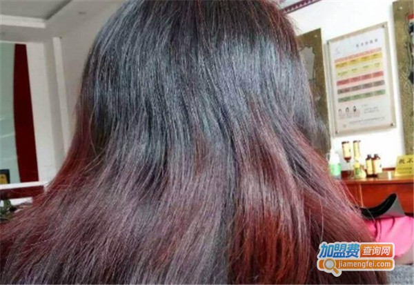 发秀优植物染发加盟