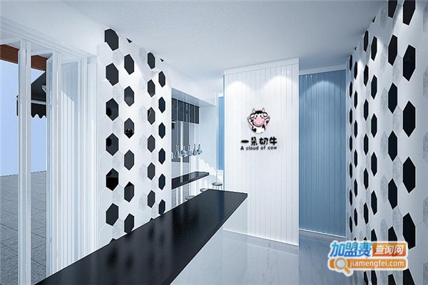 一朵奶牛加盟费