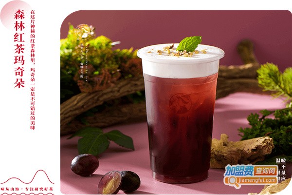 红茶森林加盟