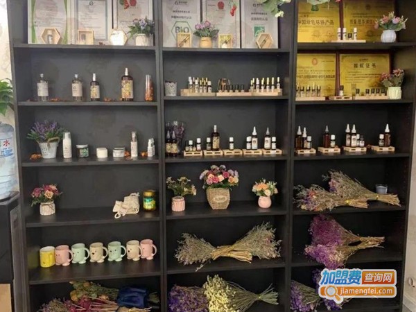 摩芳儿童芳香照护加盟费