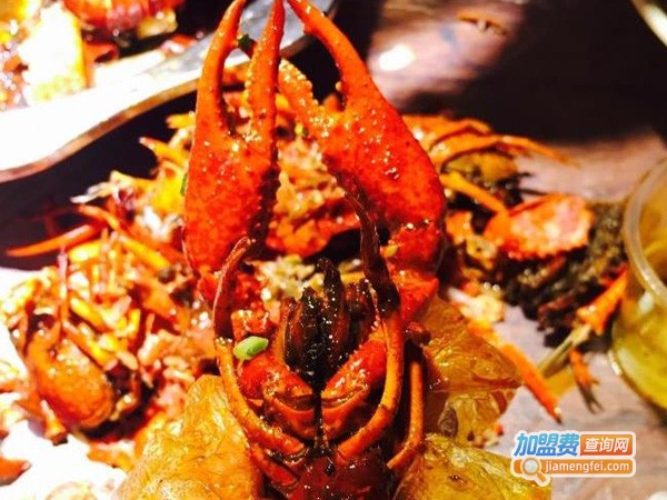 肥虾肥蟹加盟费