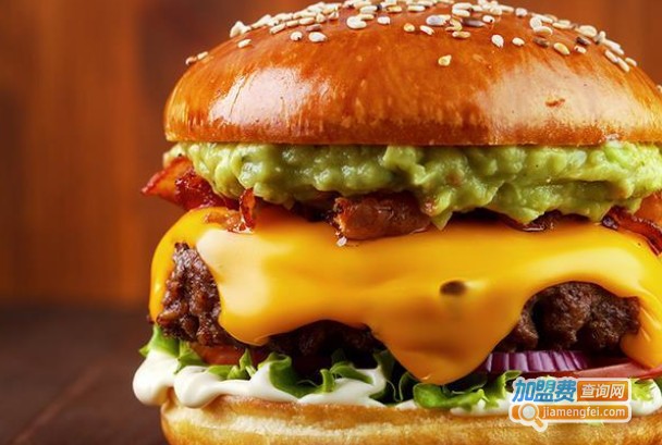 德格尔曼加盟费