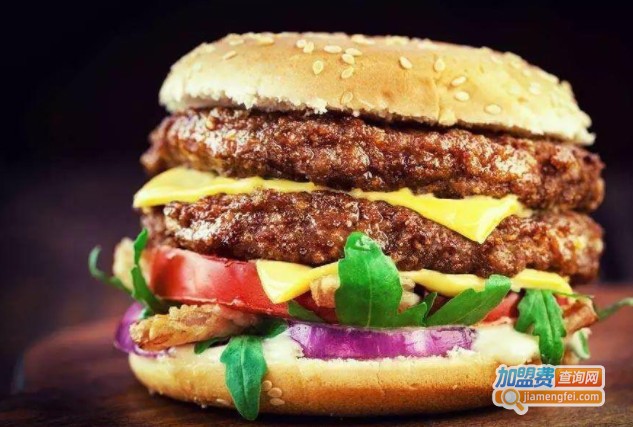 德格尔曼加盟费