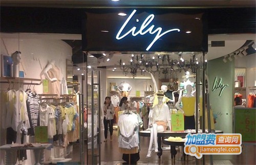 lily女装加盟