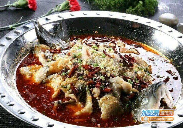 王宏龙馋嘴鱼加盟