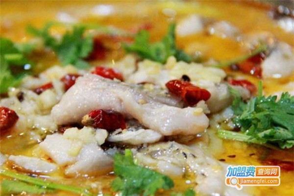 爬山虎酸菜鱼加盟费