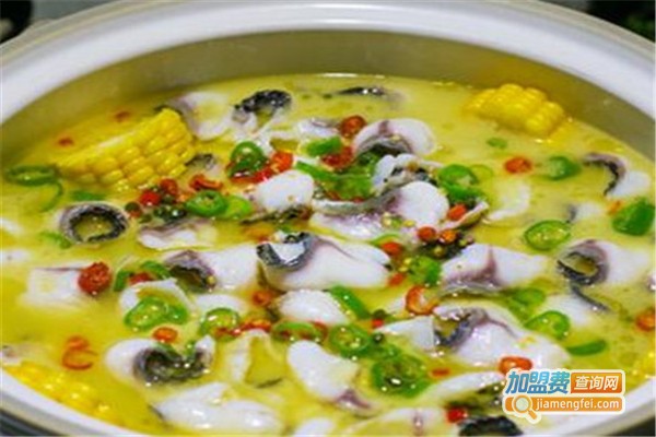 大家乐酸菜鱼加盟费